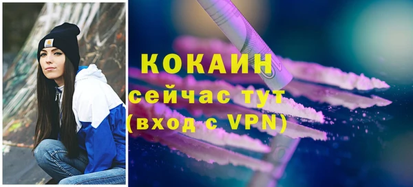 прущий лед Абаза