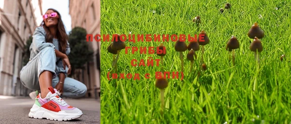 круглые Шенкурск