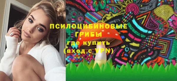 mdpv Алапаевск