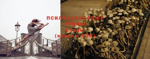 прущая мука Шилка