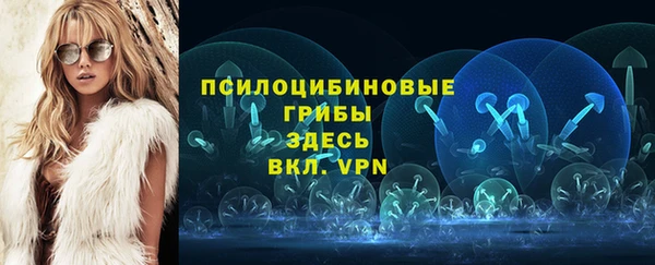 mdpv Алапаевск