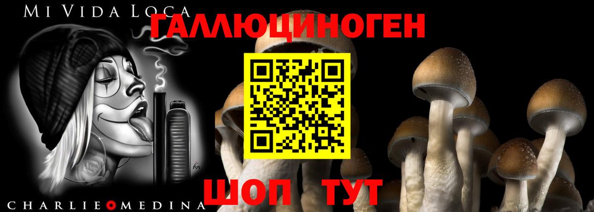 где продают   Псилоцибиновые грибы мухоморы  Вход с VPN  Белогорск 